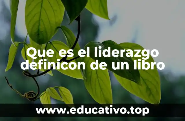 Que es el liderazgo definicon de un libro