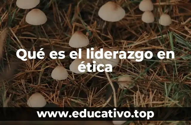 Qué es el liderazgo en ética