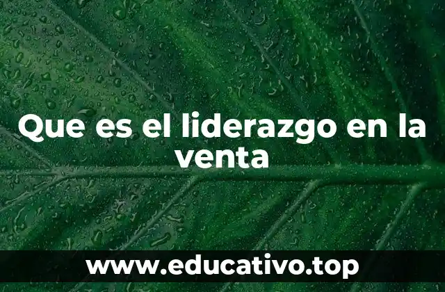 Que es el liderazgo en la venta