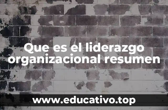 Que es el liderazgo organizacional resumen