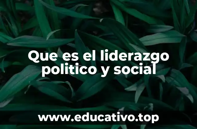 Que es el liderazgo politico y social