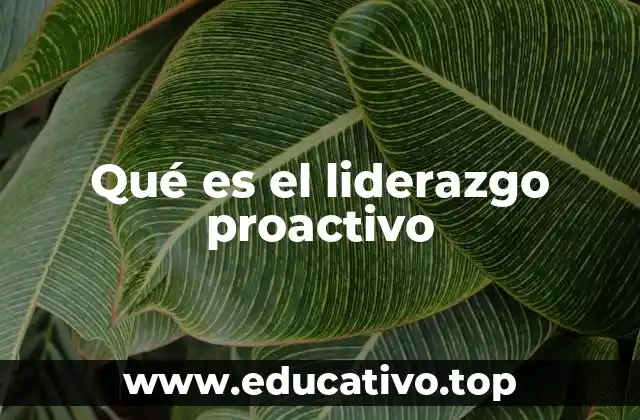 Qué es el liderazgo proactivo