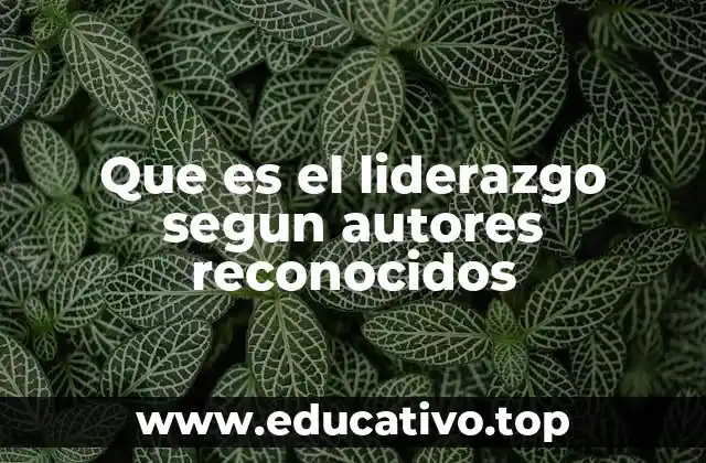 Que es el liderazgo segun autores reconocidos