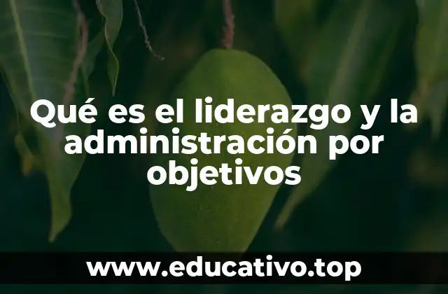 Qué es el liderazgo y la administración por objetivos