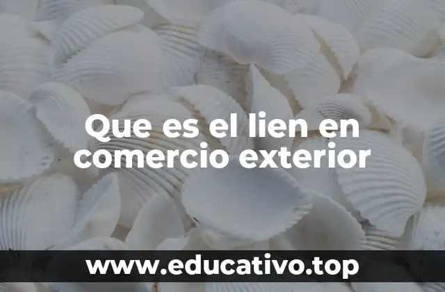 Que es el lien en comercio exterior