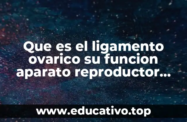 Que es el ligamento ovarico su funcion aparato reproductor femenino