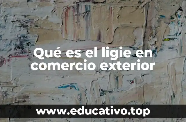 Qué es el ligie en comercio exterior
