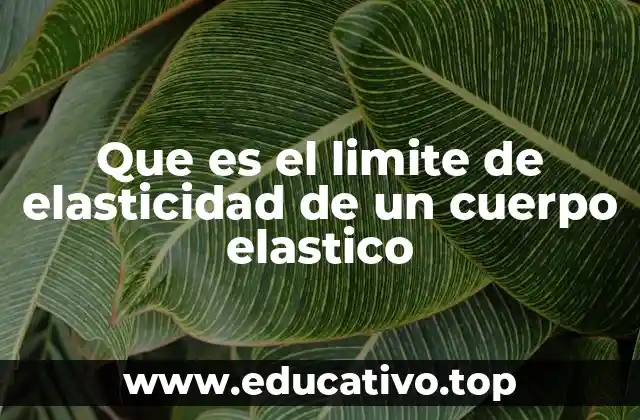 Que es el limite de elasticidad de un cuerpo elastico