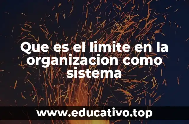 Que es el limite en la organizacion como sistema