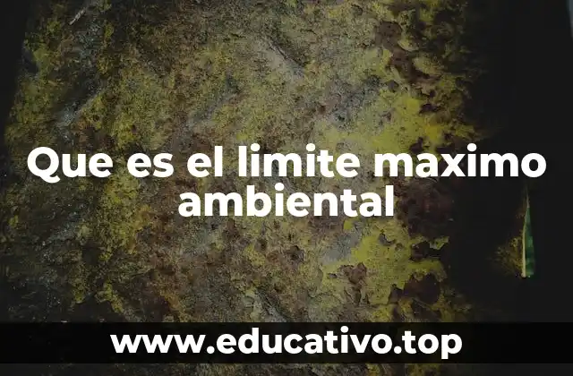 Que es el limite maximo ambiental