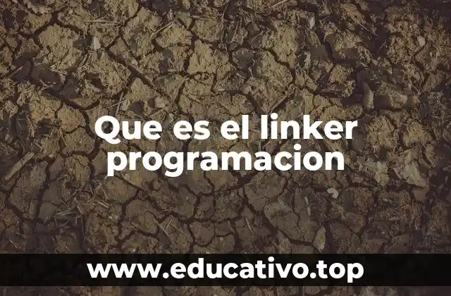 Que es el linker programacion