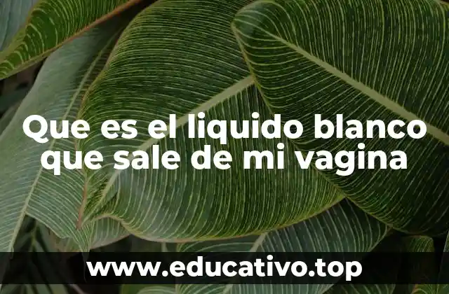Que es el liquido blanco que sale de mi vagina