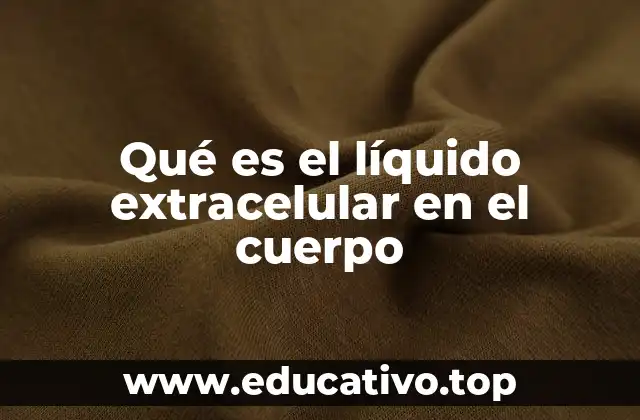 Qué es el líquido extracelular en el cuerpo