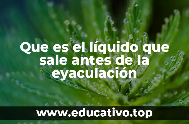 Que es el líquido que sale antes de la eyaculación