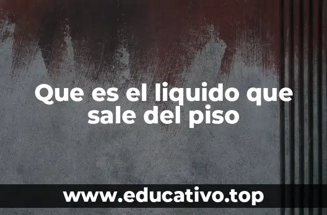 Que es el liquido que sale del piso
