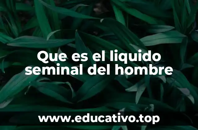 Que es el liquido seminal del hombre