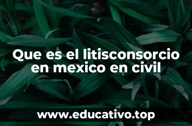 Que es el litisconsorcio en mexico en civil