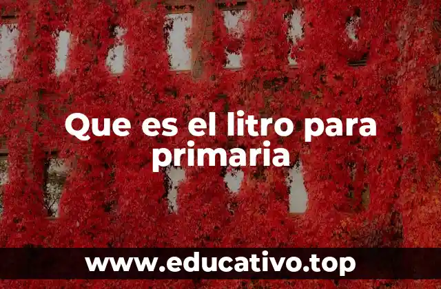 Que es el litro para primaria