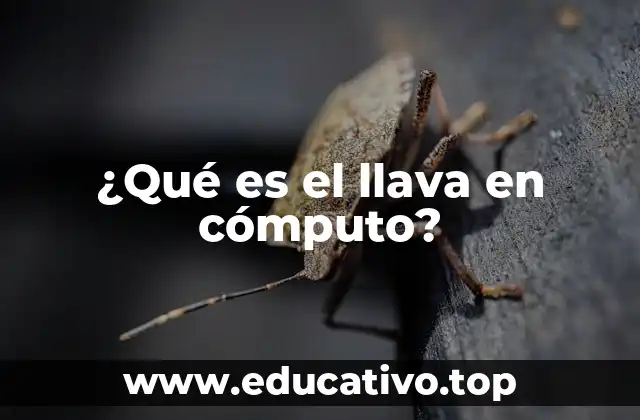 ¿Qué es el llava en cómputo?