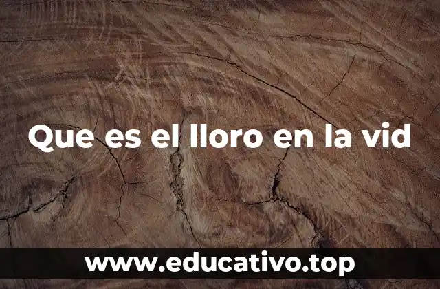 Que es el lloro en la vid