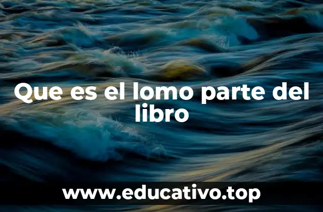 La importancia del lomo en la estructura de un libro