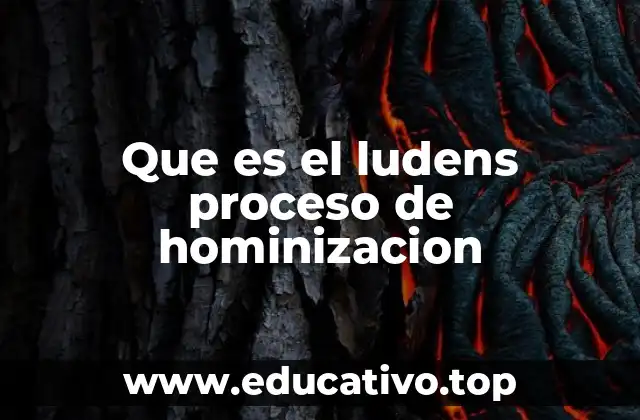Que es el ludens proceso de hominizacion
