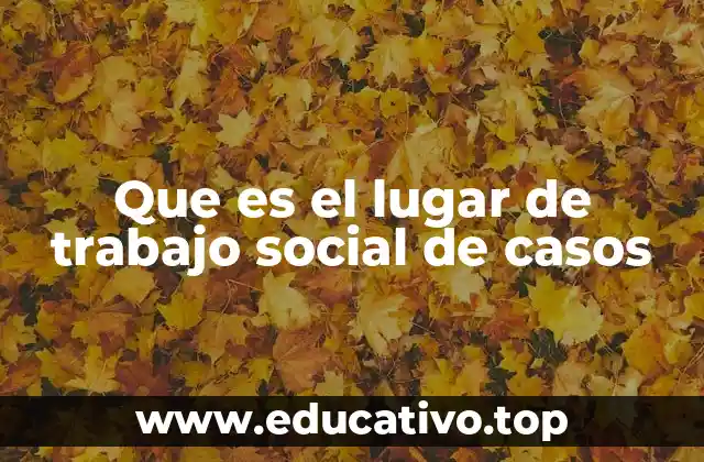 Que es el lugar de trabajo social de casos