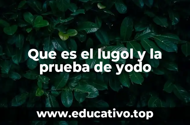 Que es el lugol y la prueba de yodo