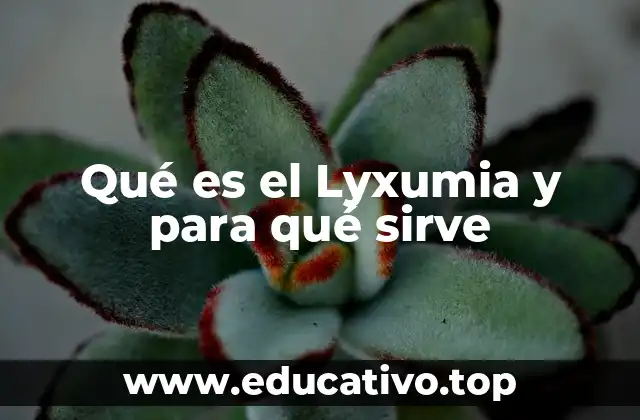 El Lyxumia y su papel en la gestión de la salud