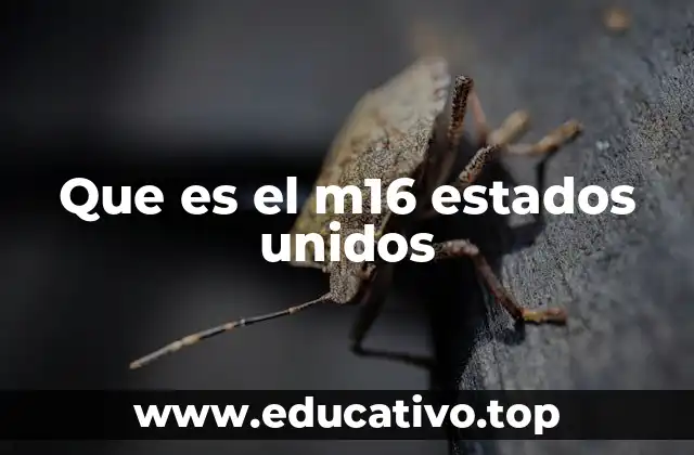 Que es el m16 estados unidos