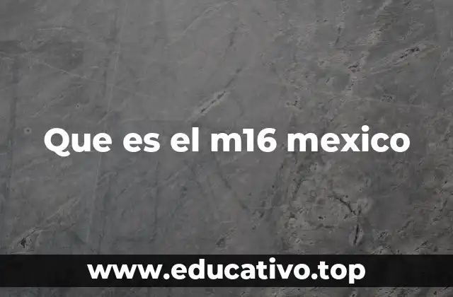 Que es el m16 mexico