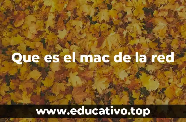 Que es el mac de la red