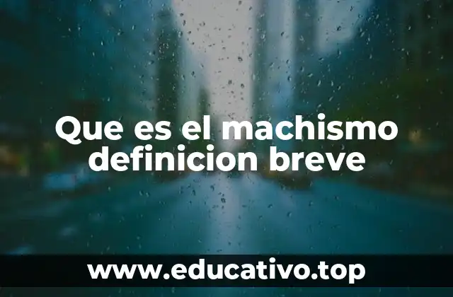 Que es el machismo definicion breve