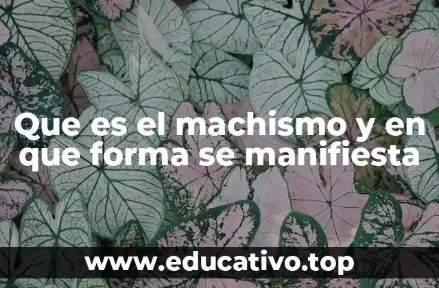 El impacto del machismo en la vida cotidiana