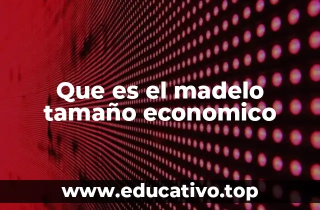 Que es el madelo tamaño economico