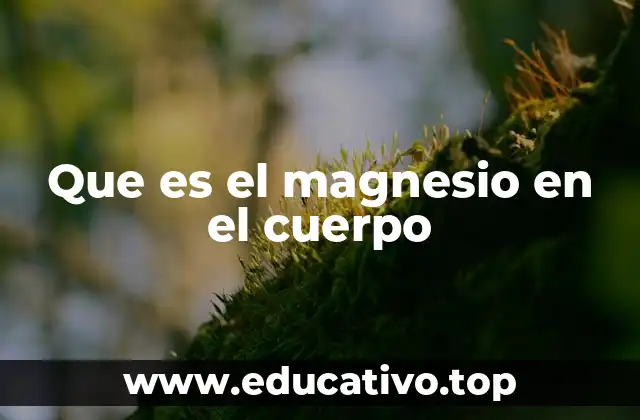 Que es el magnesio en el cuerpo