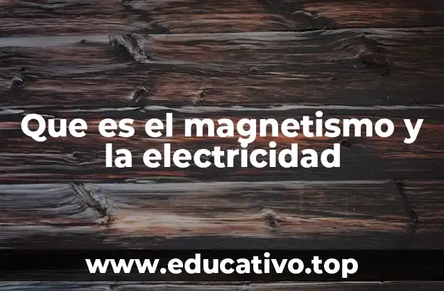 Que es el magnetismo y la electricidad