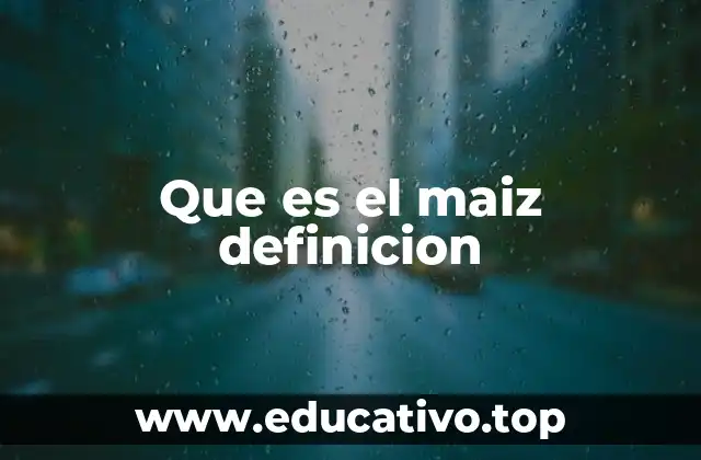 Que es el maiz definicion