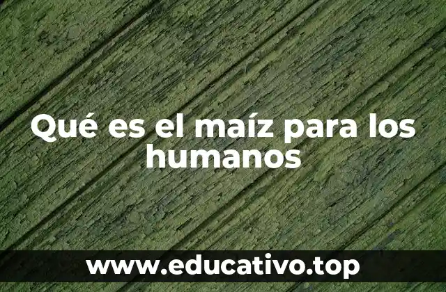Qué es el maíz para los humanos