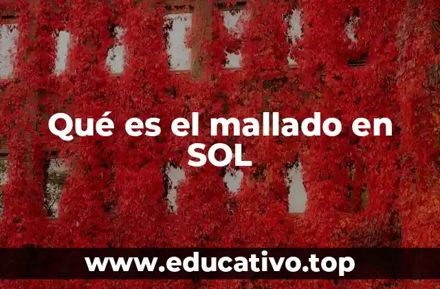 Qué es el mallado en SOL