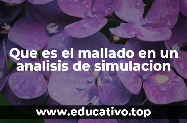 Que es el mallado en un analisis de simulacion