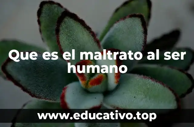 Que es el maltrato al ser humano