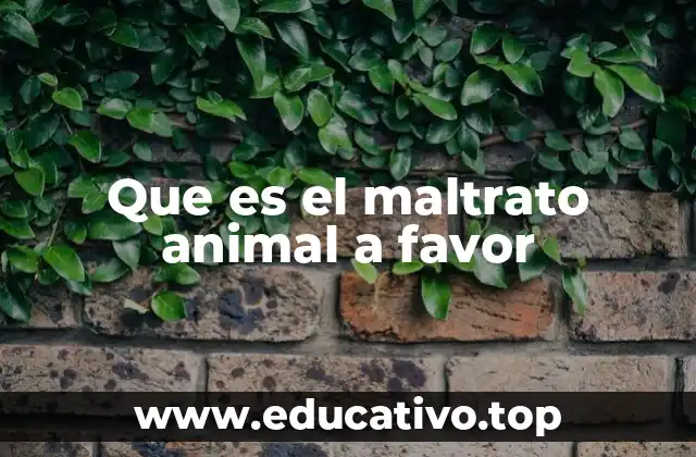 Que es el maltrato animal a favor