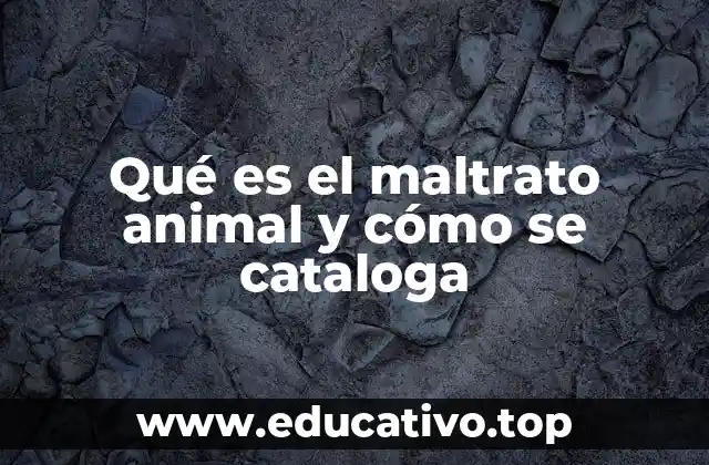 La evolución legal del maltrato animal a través de los años
