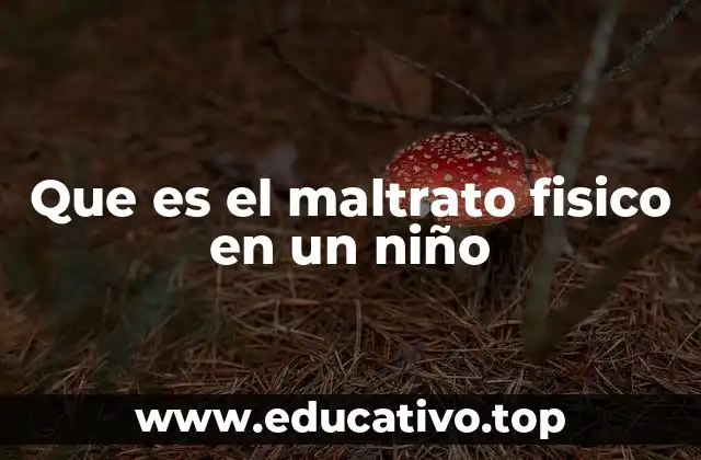 Que es el maltrato fisico en un niño
