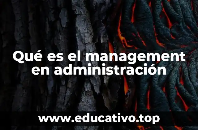 El rol del management en la estructura organizacional