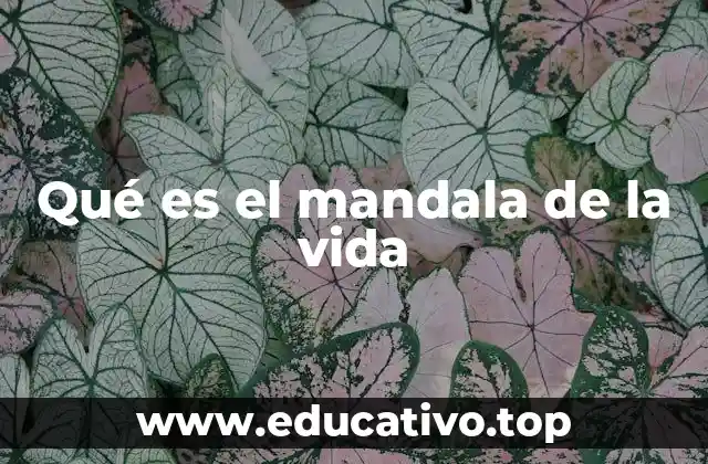 Qué es el mandala de la vida