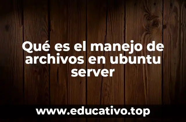 Qué es el manejo de archivos en ubuntu server