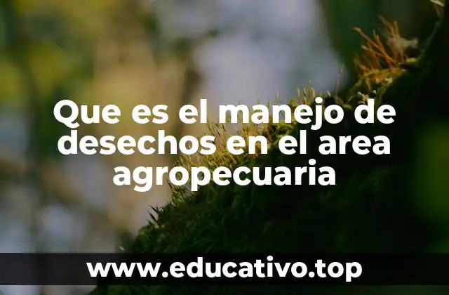 Que es el manejo de desechos en el area agropecuaria