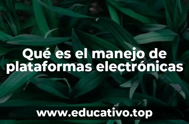 Qué es el manejo de plataformas electrónicas